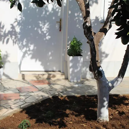 Orange Grove Retreat Apartment