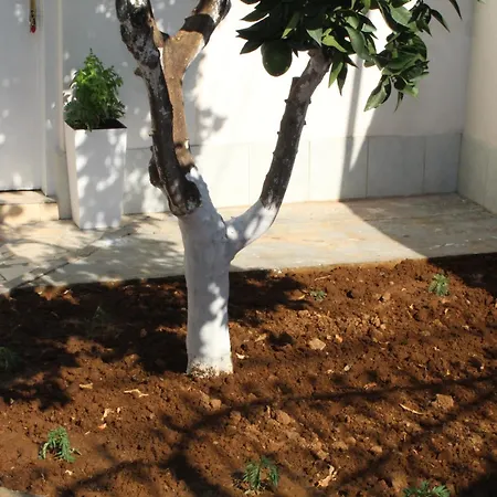 Orange Grove Retreat Apartment *
