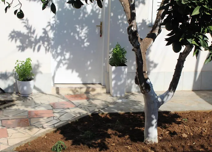 Orange Grove Retreat Lejlighed