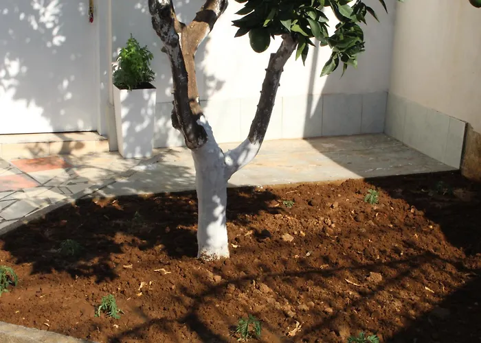 Orange Grove Retreat Apartament *